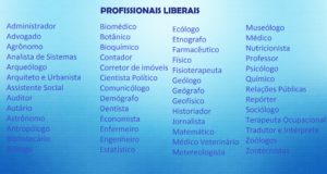 Profissional liberal